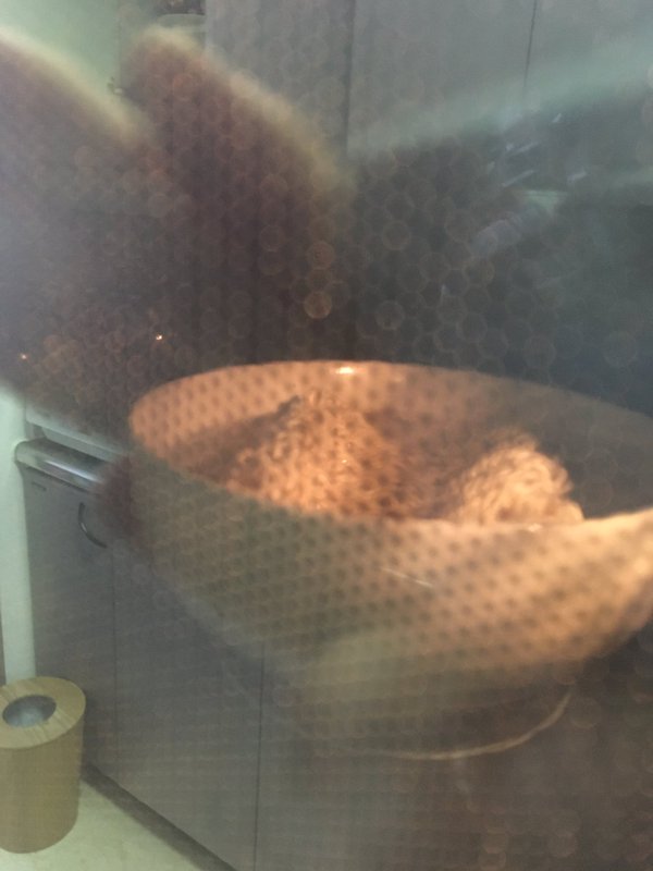 f:id:akasofa:20160711142631j:plain f:id:akasofa:20160711142631j:plain