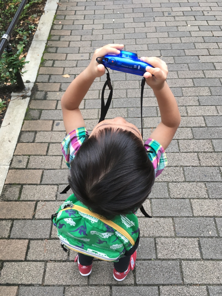 f:id:akasofa:20161019011957j:plain f:id:akasofa:20161019011957j:plain