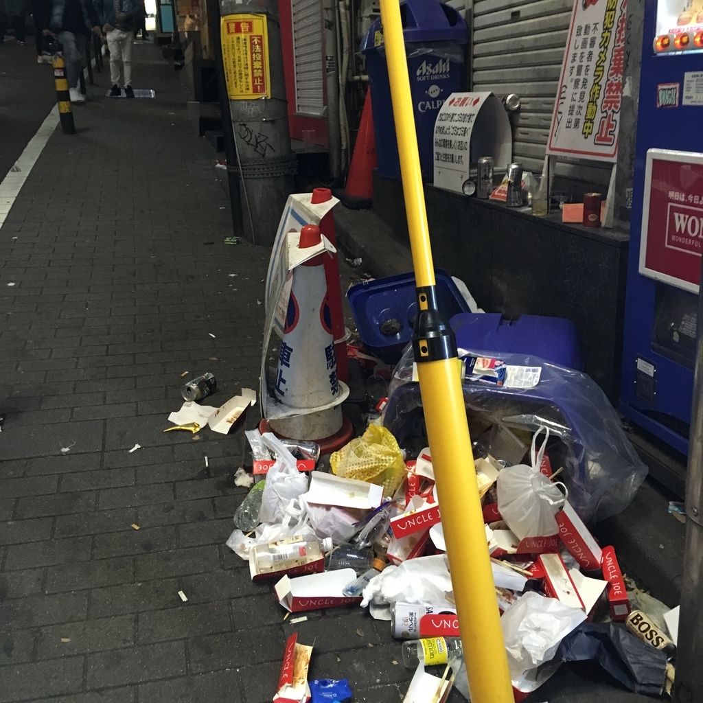 f:id:akasofa:20190101232006j:plain