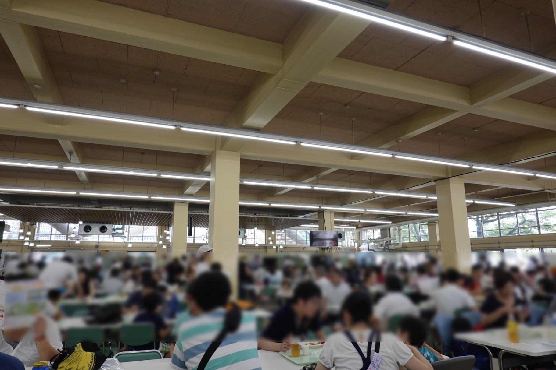 f:id:akasofa:20190824233717j:plain
