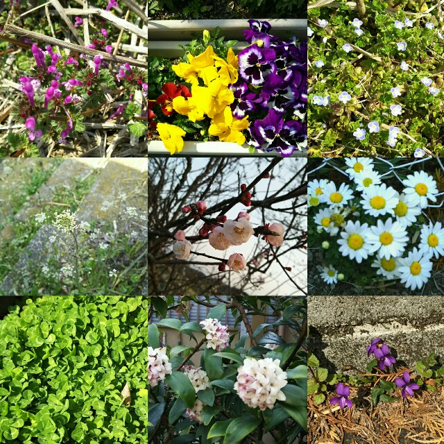 f:id:akastubaki:20170319220414j:image
