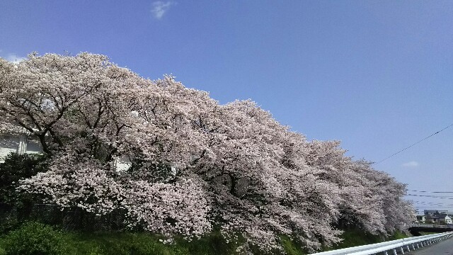 f:id:akastubaki:20170413144211j:plain