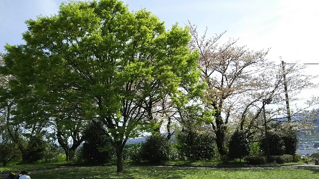 f:id:akastubaki:20170417110821j:plain