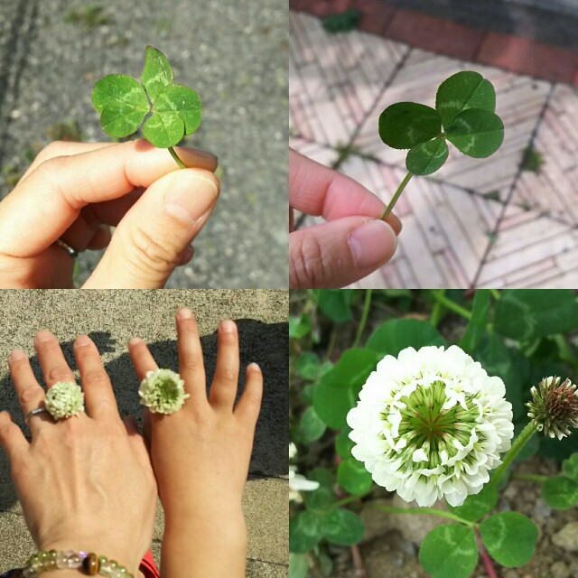 f:id:akastubaki:20170417111529j:plain