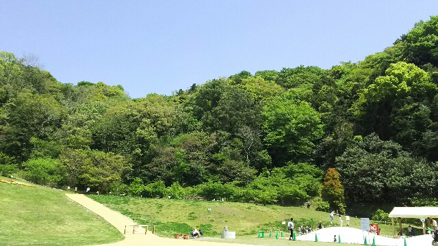 f:id:akastubaki:20170501102700j:plain