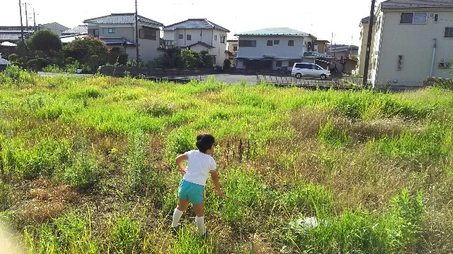 f:id:akastubaki:20170511100852j:plain