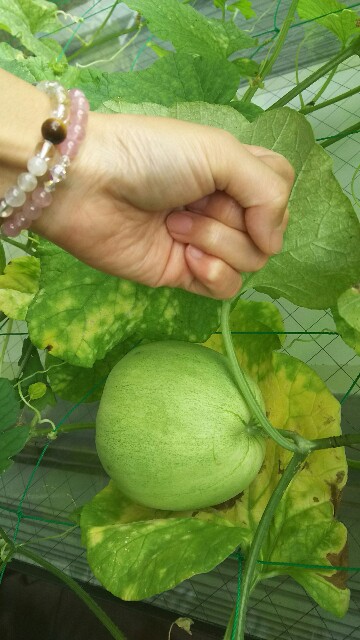 f:id:akastubaki:20170817125300j:plain