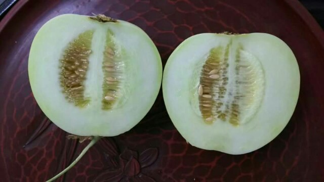 f:id:akastubaki:20170817125712j:plain