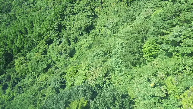 f:id:akastubaki:20170829123428j:plain f:id:akastubaki:20170829123428j:plain