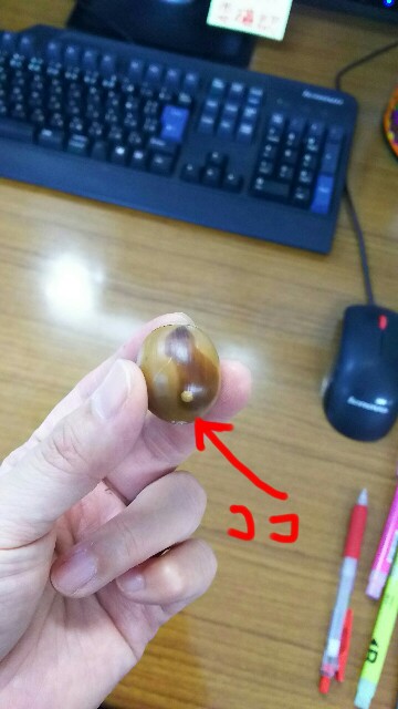 f:id:akastubaki:20171013101347j:image