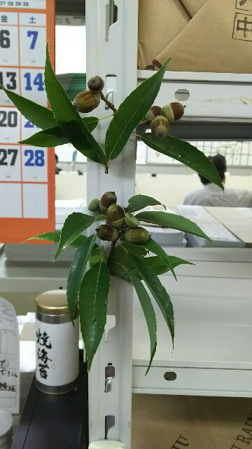 f:id:akastubaki:20171018200307j:plain