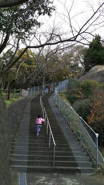 f:id:akastubaki:20171205120611j:image