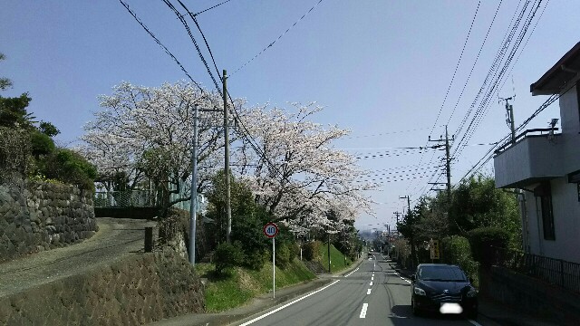 f:id:akastubaki:20180329160404j:plain f:id:akastubaki:20180329160404j:plain