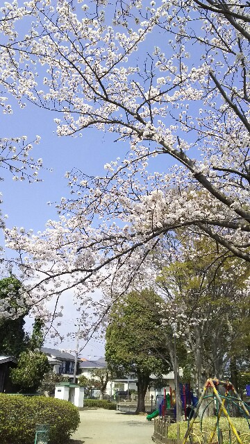 f:id:akastubaki:20180329160543j:plain f:id:akastubaki:20180329160543j:plain