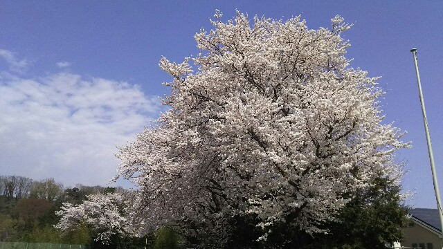 f:id:akastubaki:20180329160733j:plain f:id:akastubaki:20180329160733j:plain