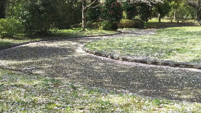 f:id:akastubaki:20180403125112j:plain f:id:akastubaki:20180403125112j:plain