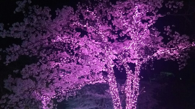 f:id:akastubaki:20180404144908j:plain