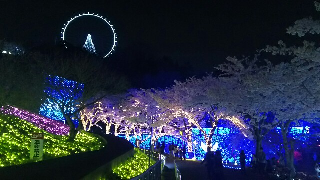 f:id:akastubaki:20180404144934j:plain