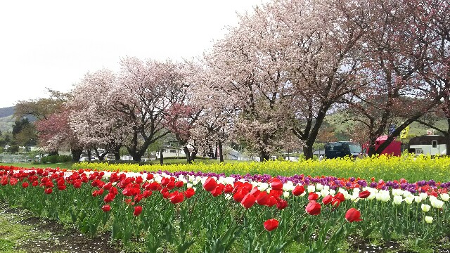 f:id:akastubaki:20180409101737j:plain