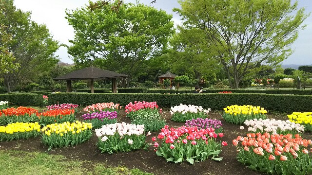 f:id:akastubaki:20180409101755j:plain