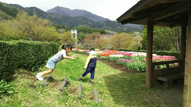 f:id:akastubaki:20180409101829j:plain