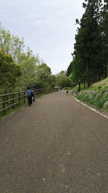 f:id:akastubaki:20180409101938j:plain