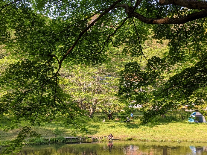 f:id:akastubaki:20200430124648j:plain f:id:akastubaki:20200430124648j:plain