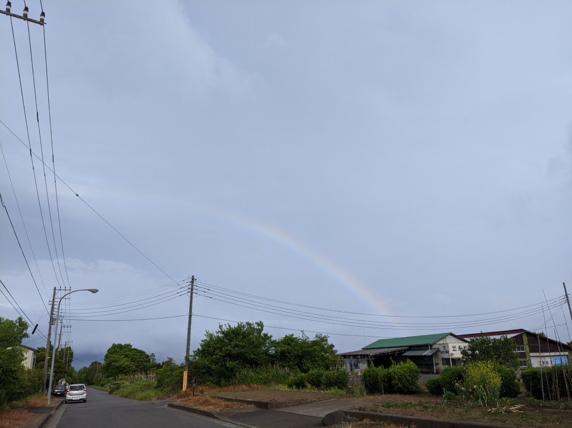 f:id:akastubaki:20200510193928j:plain f:id:akastubaki:20200510193928j:plain