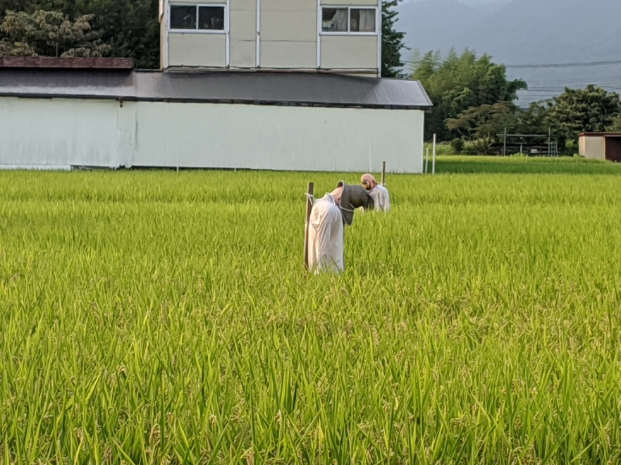 f:id:akastubaki:20200904122730j:plain