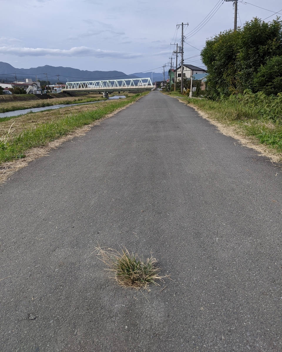 f:id:akastubaki:20201102192825j:plain