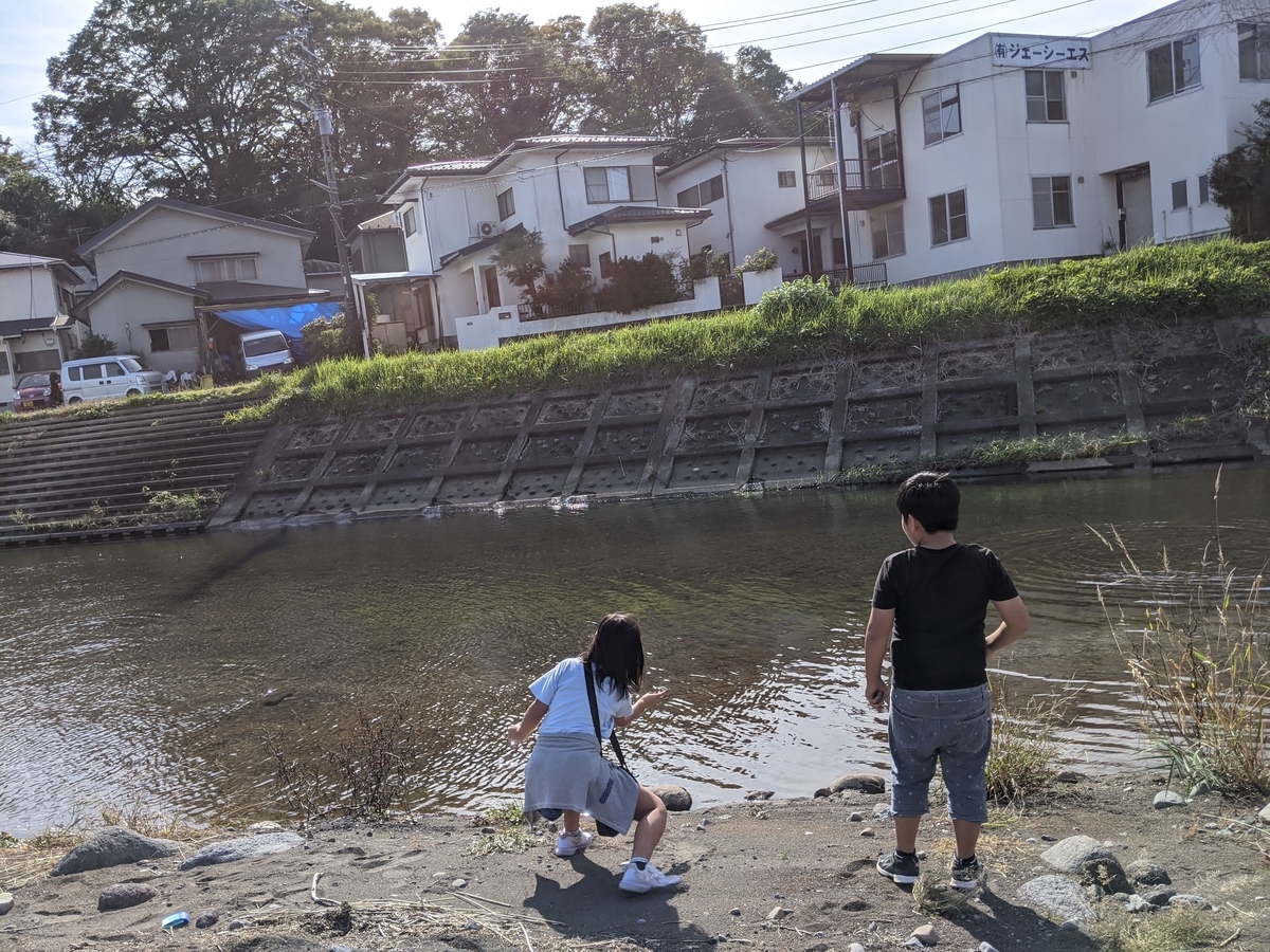 f:id:akastubaki:20201103141619j:plain