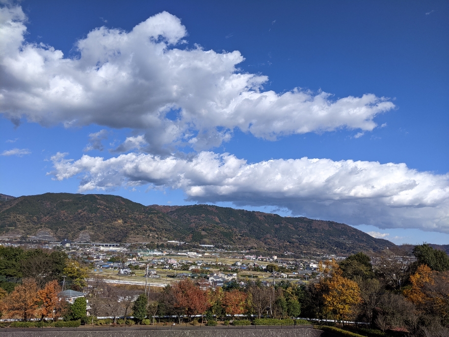 f:id:akastubaki:20201215172110j:plain
