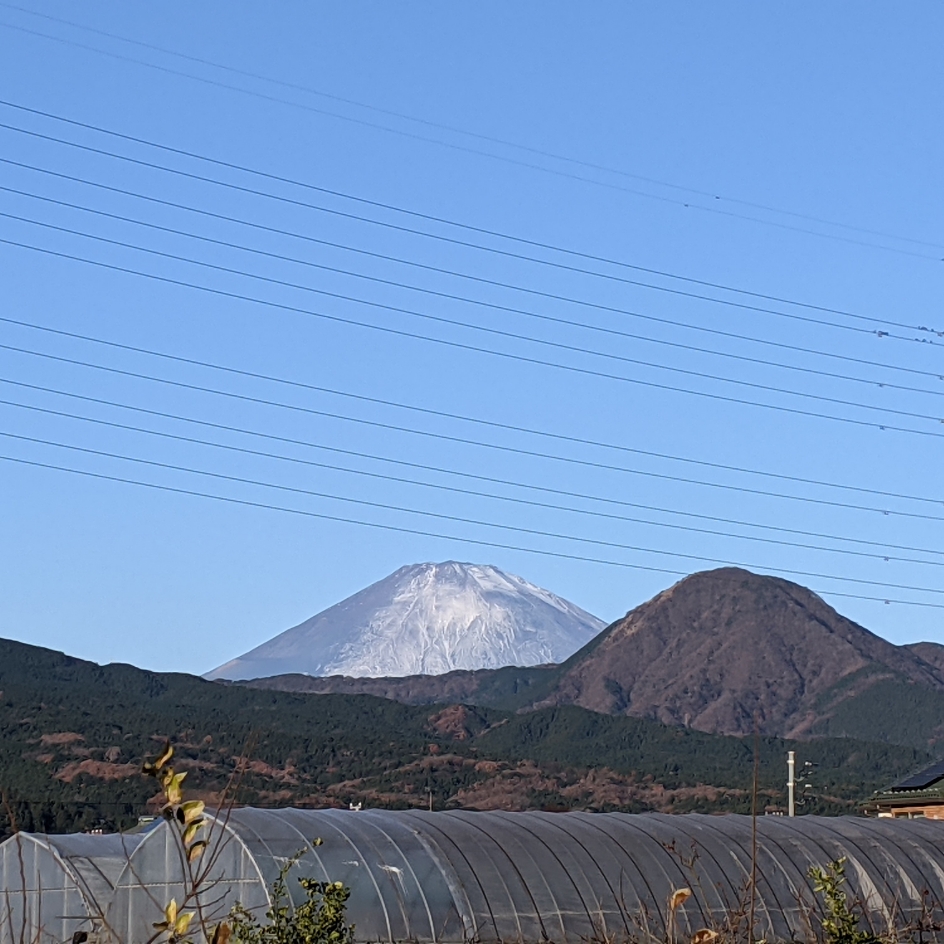 f:id:akastubaki:20201219122934j:plain
