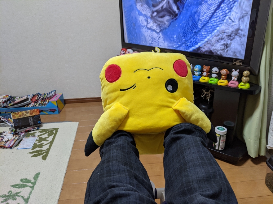 f:id:akastubaki:20210104100238j:plain