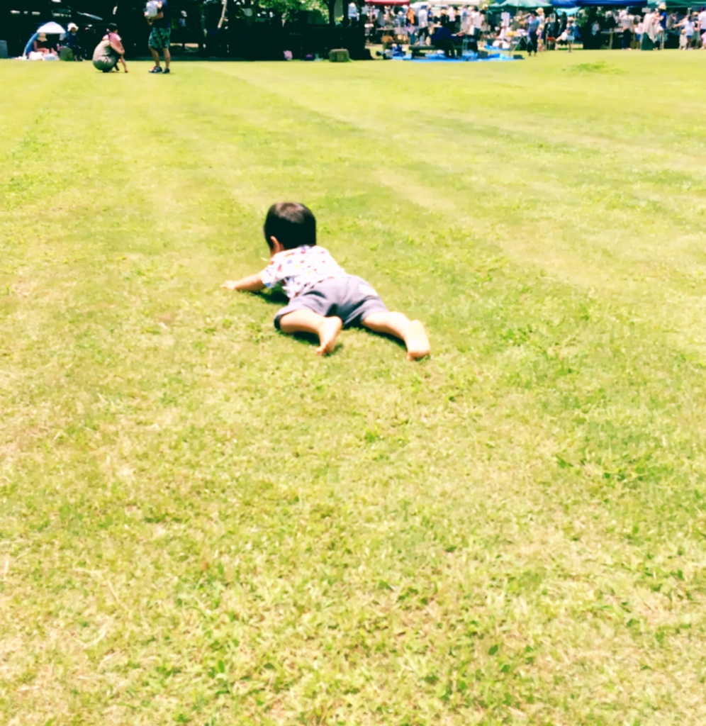 f:id:akasuguedi:20160913215443j:plain