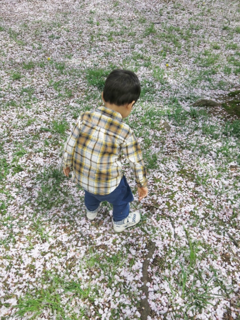 f:id:akasuguedi:20170223055801j:plain