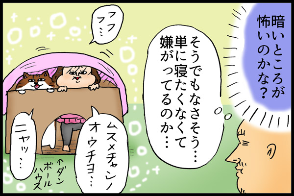 f:id:akasuguedi:20180622101712j:plain