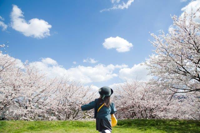 f:id:akasuguope01:20160326174402j:plain