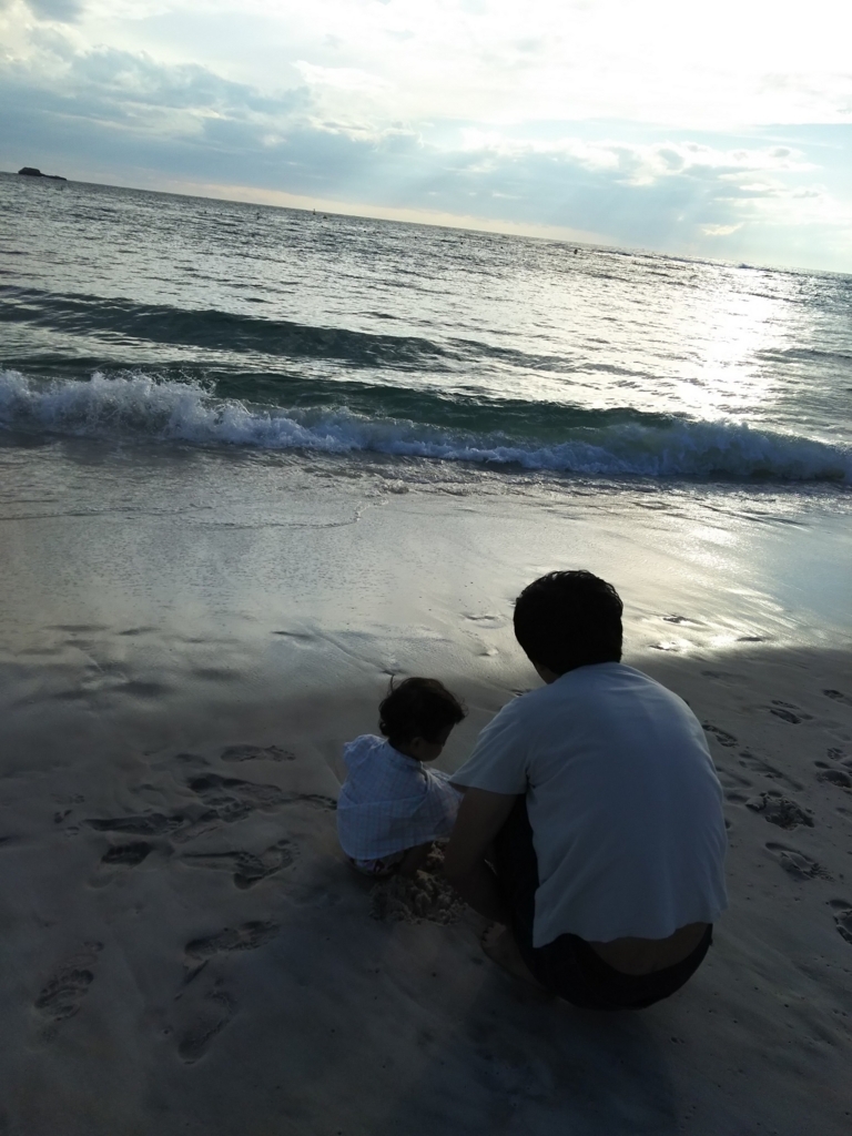 f:id:akasuguope01:20170825134051j:plain