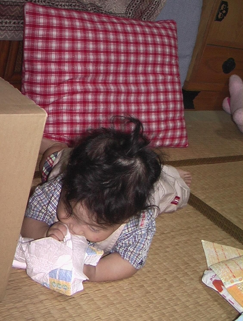 f:id:akasuguope02:20150821065611j:plain