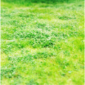 f:id:akasuguope04:20160517112832p:plain