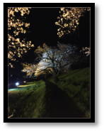 f:id:akasuguope04:20160517143833p:plain