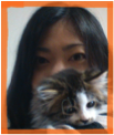 f:id:akasuguope04:20160520181300p:plain