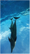 f:id:akasuguope04:20160521215159p:plain