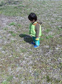 f:id:akasuguope04:20161018164522j:plain