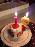 f:id:akasuguope04:20161018173003j:plain
