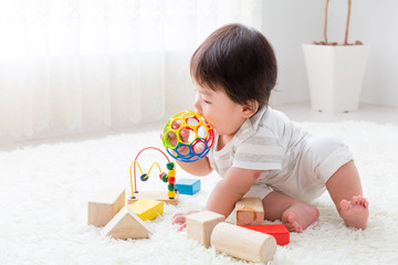 いろんな玩具を試し続けた1年間。我が家の赤ちゃんが気に入った玩具5選