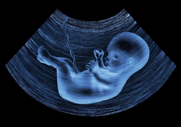 私のお腹の中のポコちゃんがボコちゃんに ゼクシィbaby 妊娠 出産 育児 みんなの体験記
