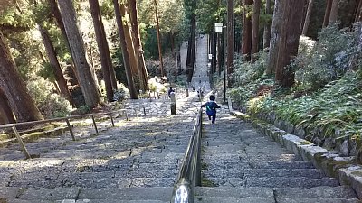 f:id:akasuke10:20210107030306j:plain