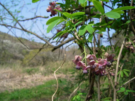 f:id:akategani:20050410131927:image